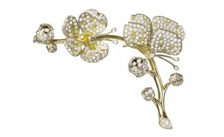 珠光下的動物奇趣王國 戴上動物，更添時尚魅力