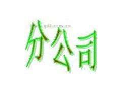 道窖鎮(zhèn)專業(yè)代辦服務(wù) 一站式解決企業(yè)注冊與財稅管理