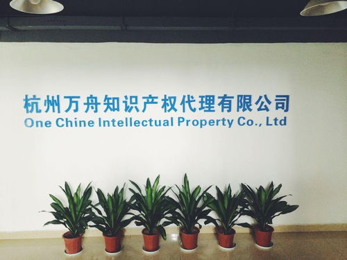 杭州萬舟知識產(chǎn)權(quán)代理 專業(yè)商務(wù)代理代辦服務(wù)的領(lǐng)航者
